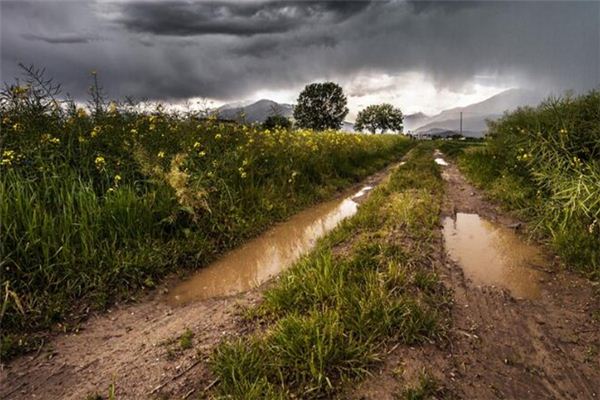 What does it mean to dream of a mud puddle? What does it mean to dream of a mud puddle?