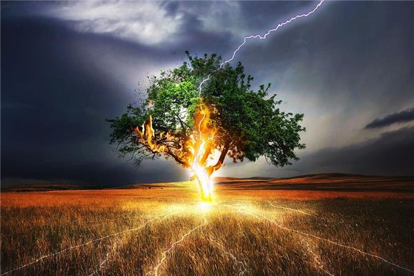Dreaming of lightning striking a tree