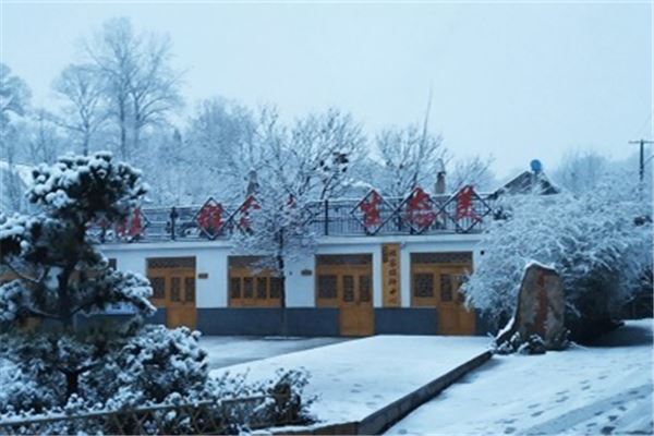 I dreamed of snow falling in the bright sun.