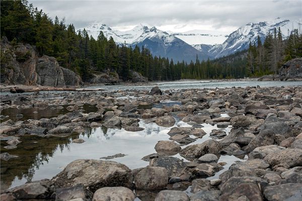 What does it mean to dream of a riverbed? What does it mean to dream of a riverbed?