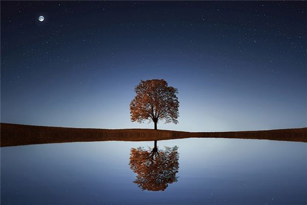 I dreamed that there was water everywhere. I dreamed that there was water everywhere.