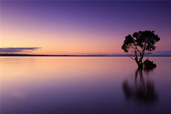 What does it mean to dream of scenery? What does it mean to dream of scenery?
