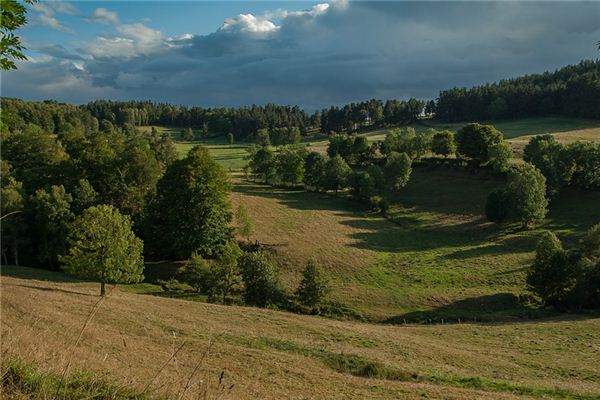 What does it mean to dream of a vast grassland? What does it mean to dream of a vast grassland?
