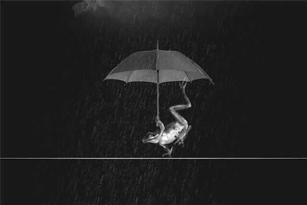 What does it mean to dream of a rainstorm? What does it mean to dream of a rainstorm?