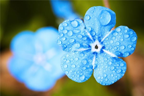 What does it mean to dream that the rain has stopped? What does it mean to dream that the rain has stopped?