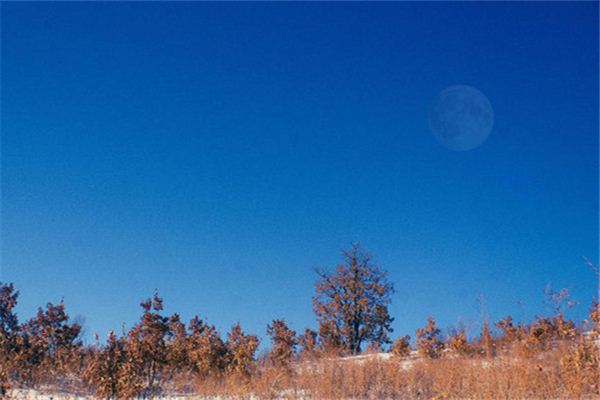 Dreaming of the moon during the day
