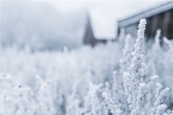 What does it mean to dream of ice and snow? What does it mean to dream of ice and snow?