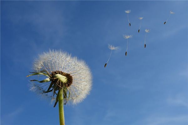 What does it mean to dream of a gentle breeze? What does it mean to dream of a gentle breeze?