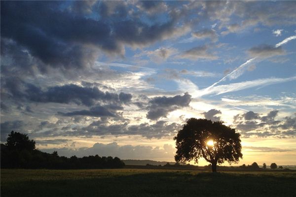 What does it mean to dream of dawn? What does it mean to dream of dawn?