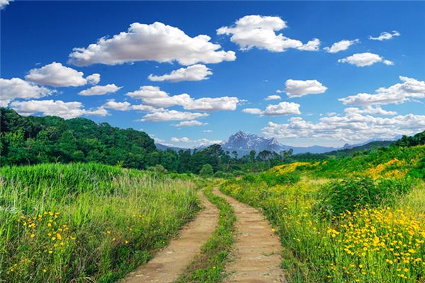 What does it mean to dream of a country road? What does it mean to dream of a country road?